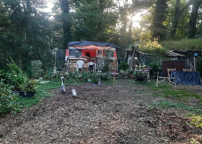 Tinyhaus Am Flughafen, Der Dlr Und Esa Campingplads *